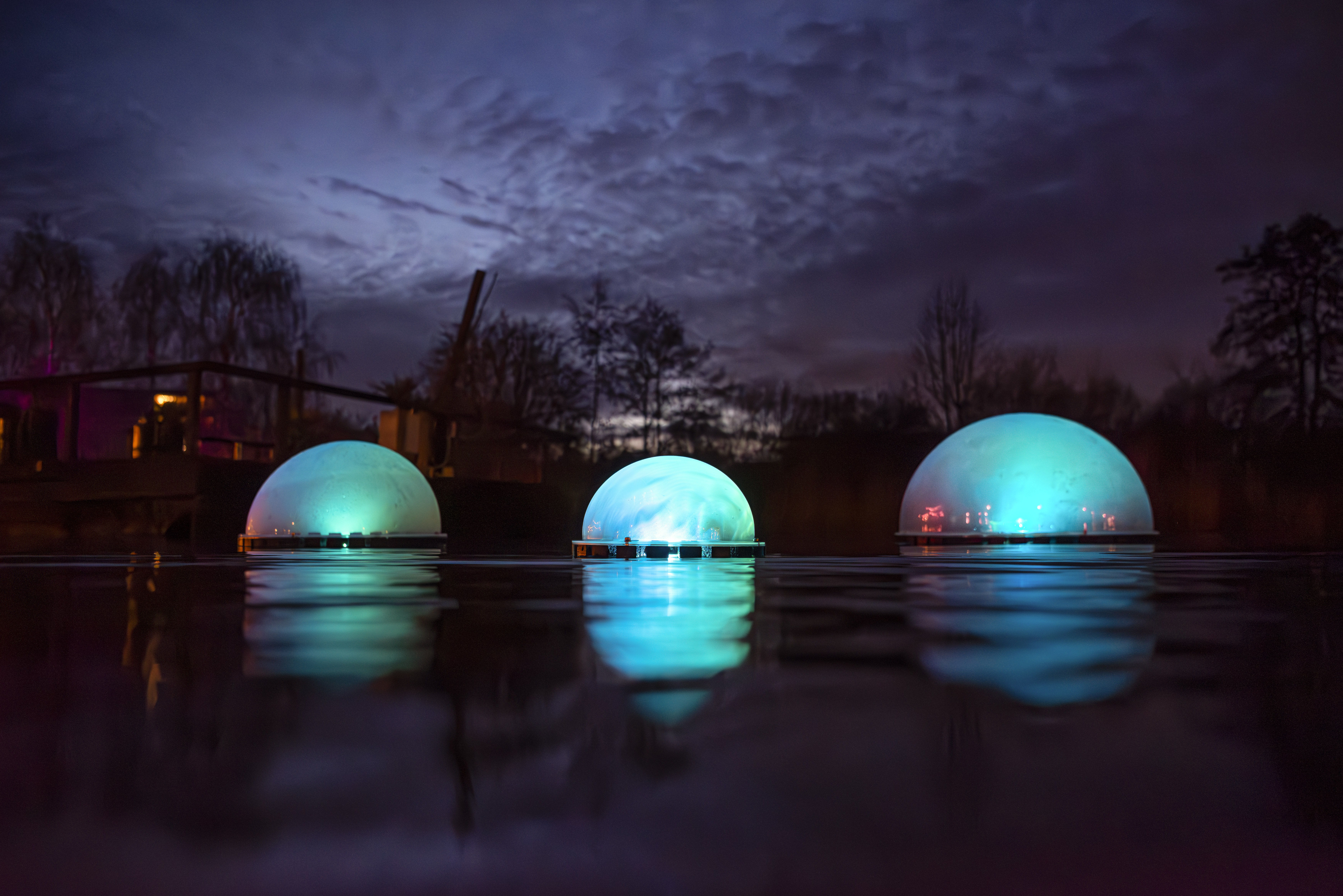 POND Rob Aarsen foto 3