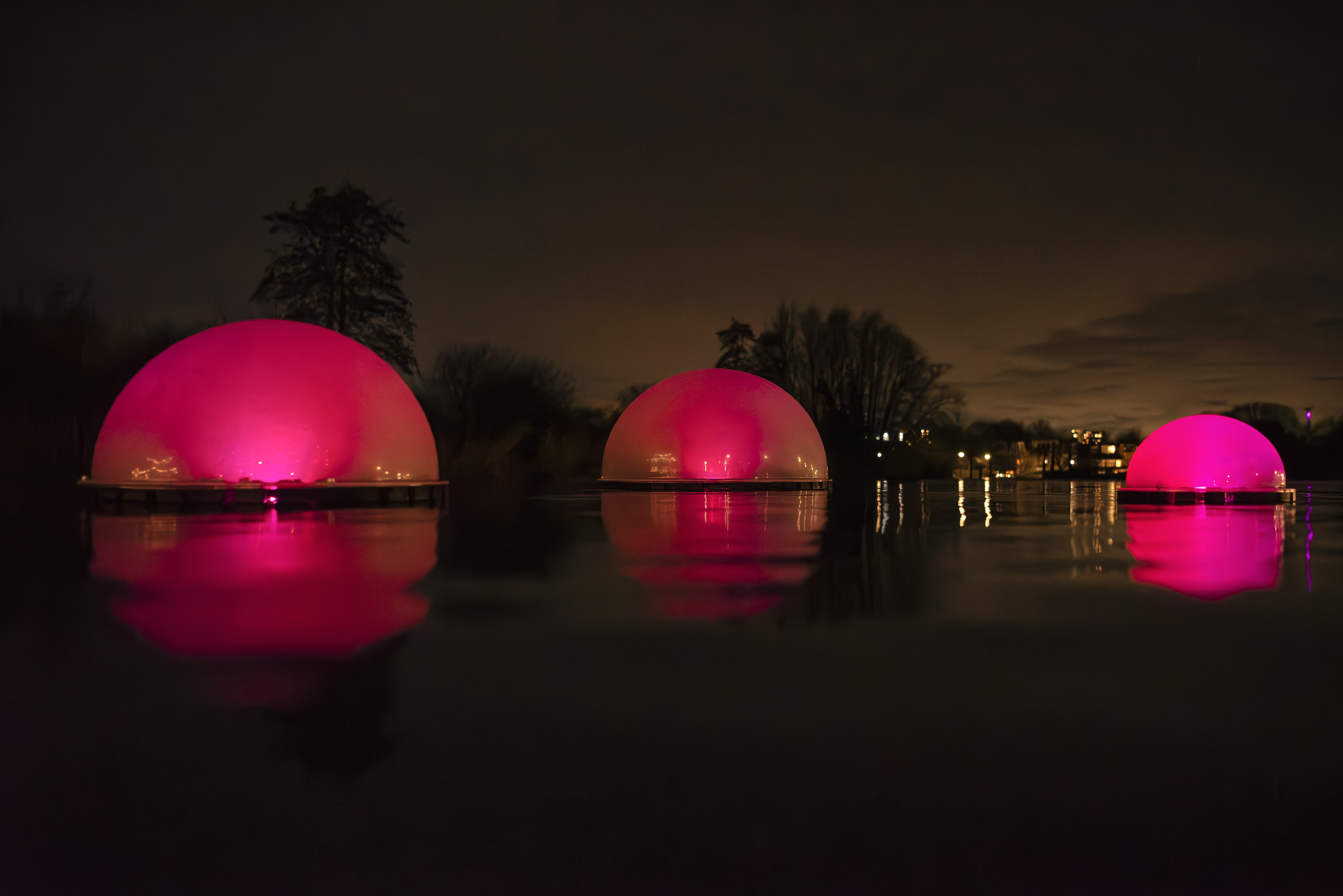 POND Rob Aarsen foto 6