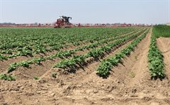 Spuiten gewasbeschermingsmiddelen - credit NVWA