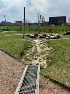 Wadi Montessori School 2