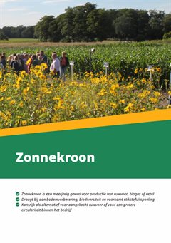 Zonnekroon