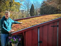 Goos sedemdak zijkant