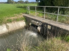 Stuw bij de Rijnsloot (Cothen)