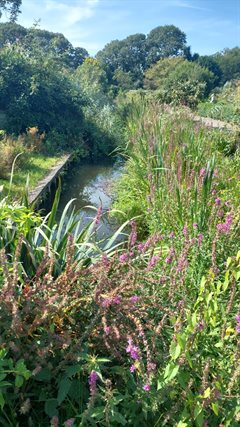 WhatsApp Image 2024-08-27 at 11.54.08