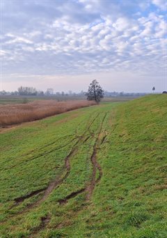 Schade kering5