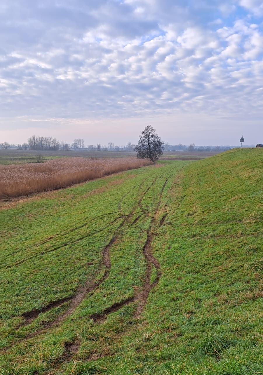 Schade kering5