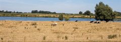 naamloos_02_juli_2026_om_10-10-47_1