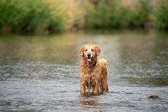 AdobeStock_435879250