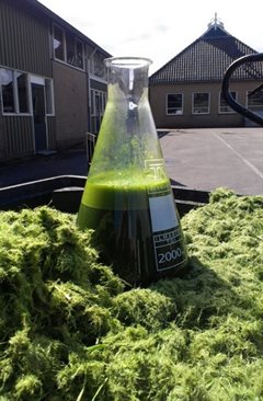 Fles met extract na bioraffinage