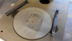 20160414_122621