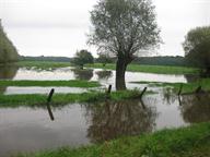 Laag Weiland nabij Gooijerwetering