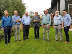 De groep 1 (Medium)