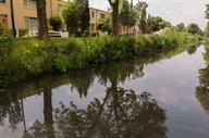 Natuurvriendelijke oevers in de wijk Hoograven-Utrecht