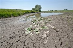 droogte-en-plassen