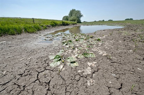 droogte-en-plassen droogte-en-plassen