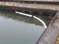 Olie-absorptieband in Vaartse Rijn