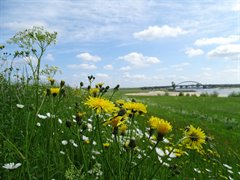Lekdijk bij Nieuwegein