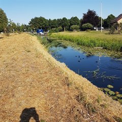 IMG-20180703-WA0005
