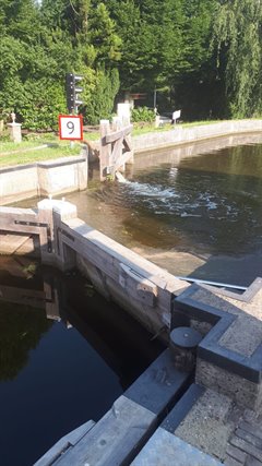 Het pompen in volle gang