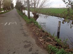 Peilschaal langs de Ruigeweide in Oudewater PS1415_overzicht