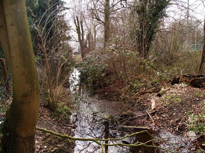 Rijnwijckse wetering Zeist Rijnwijckse wetering Zeist