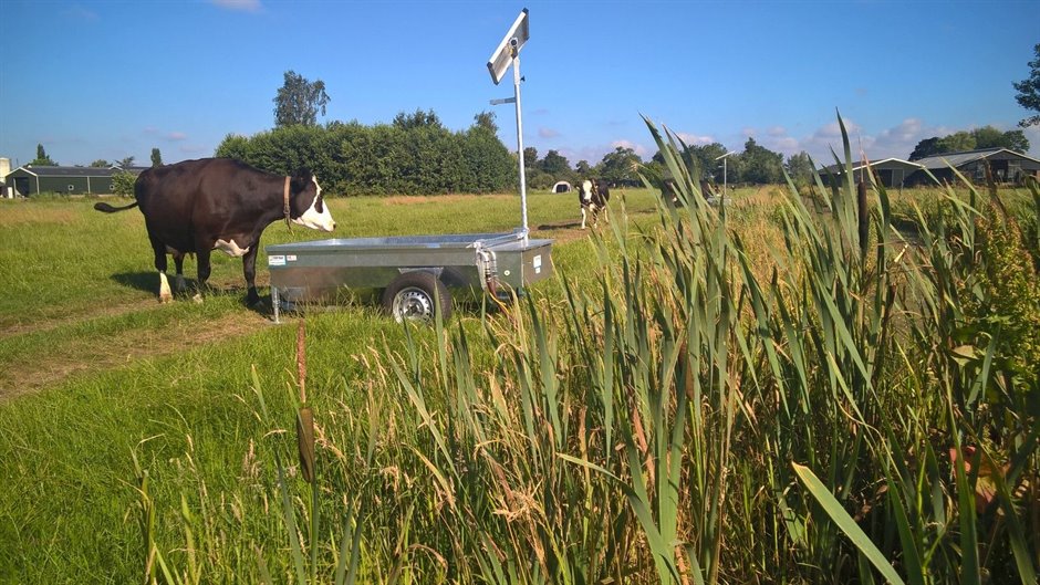 Mobiele drinkbak - Koe Mobiele drinkbak - Koe